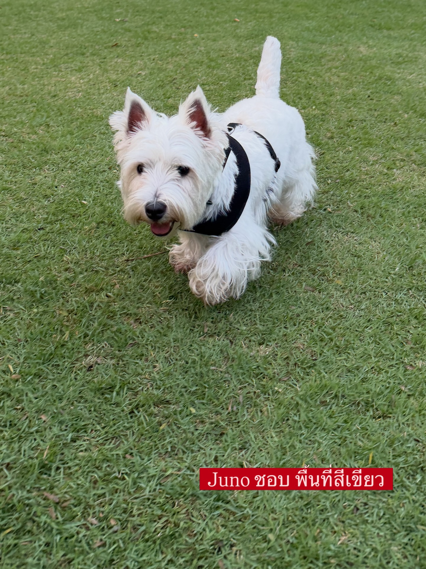 ฌอห์ณ จินดาโชติ