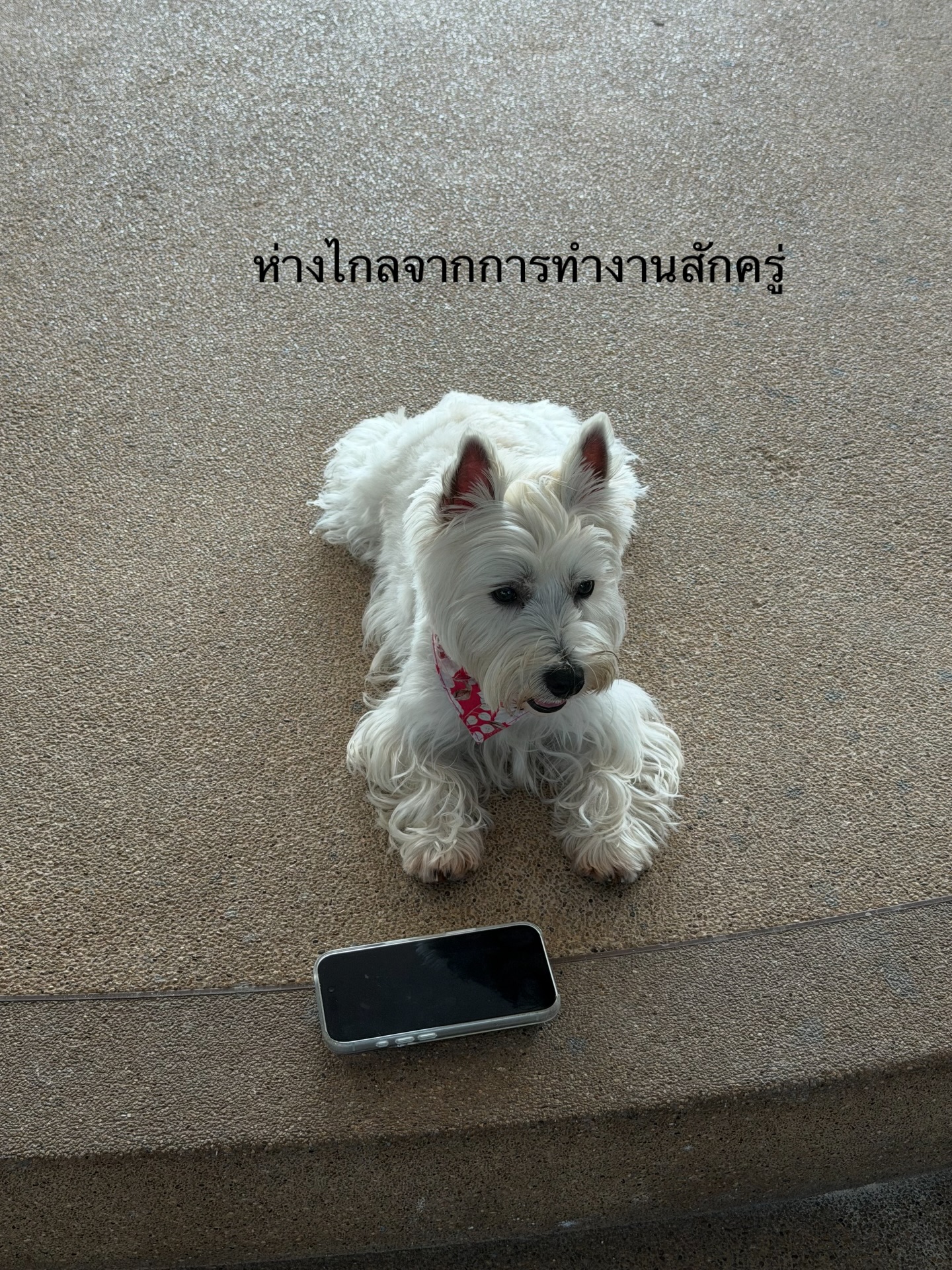 ฌอห์ณ จินดาโชติ
