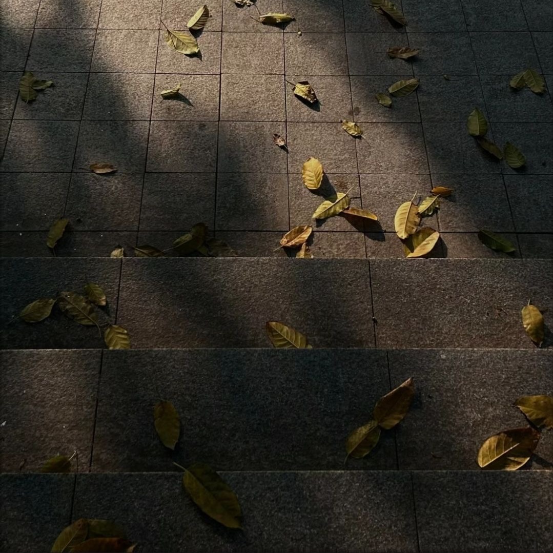 หนิง - ปณิตา พัฒนาหิรัญ