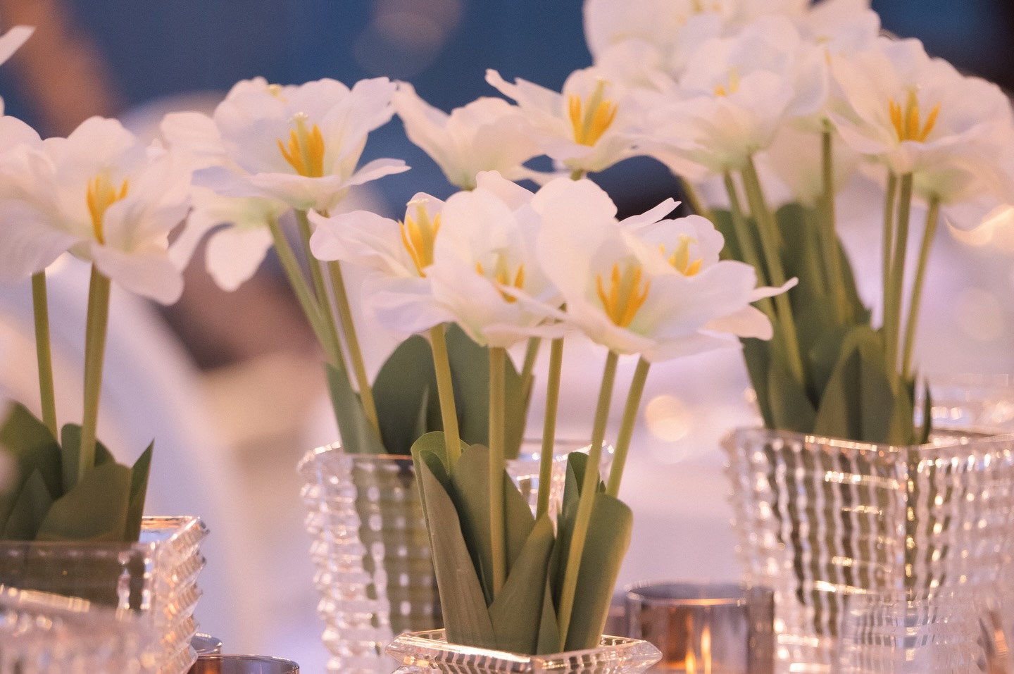 หนิง - ปณิตา พัฒนาหิรัญ