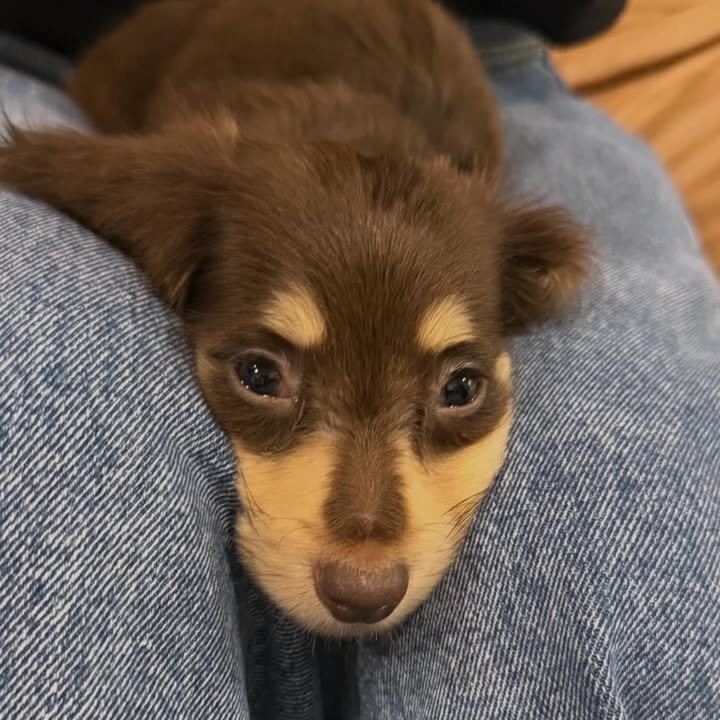 ญดา - นริลญา กุลมงคลเพชร