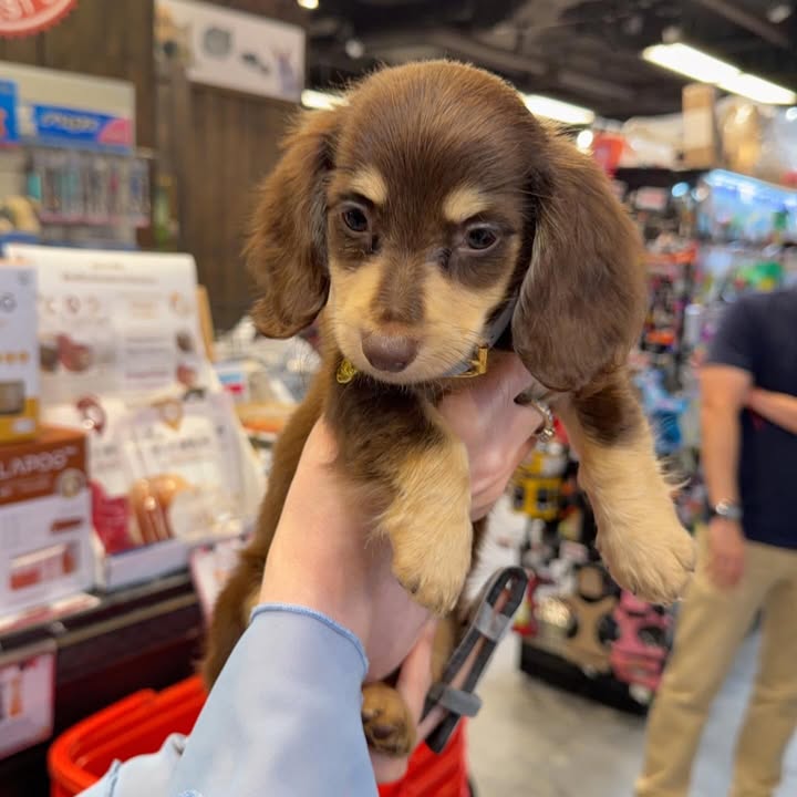 ญดา - นริลญา กุลมงคลเพชร