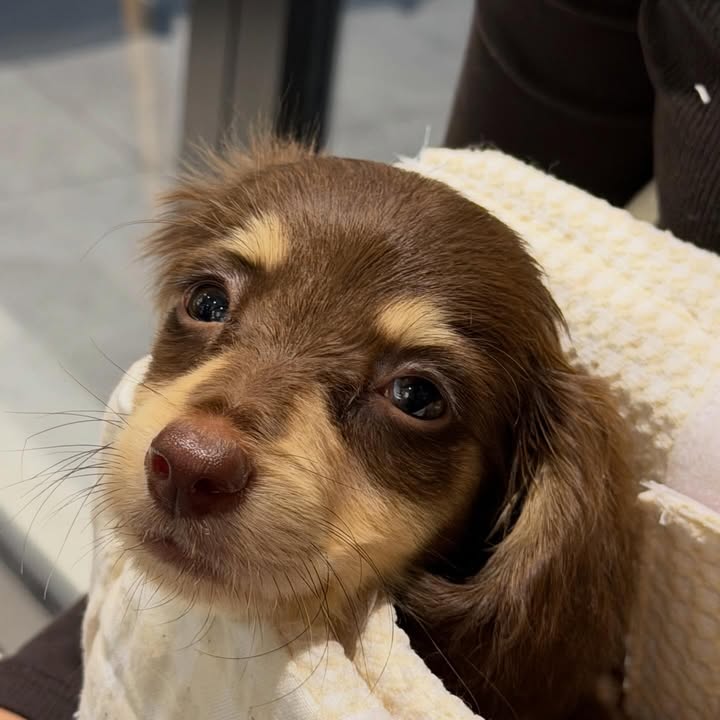 ญดา - นริลญา กุลมงคลเพชร