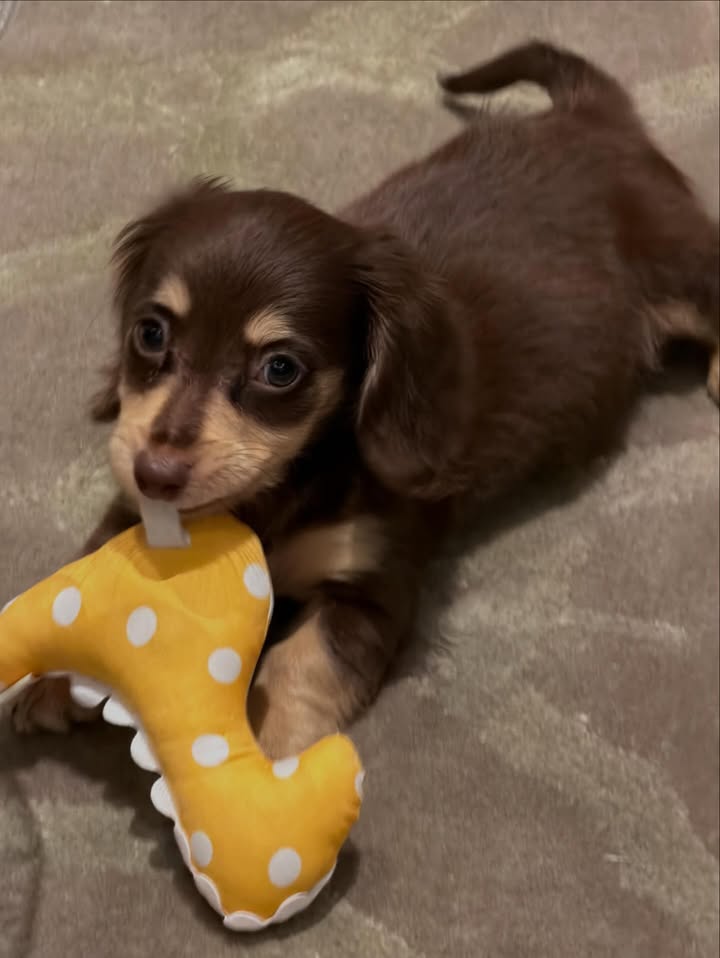 ญดา - นริลญา กุลมงคลเพชร