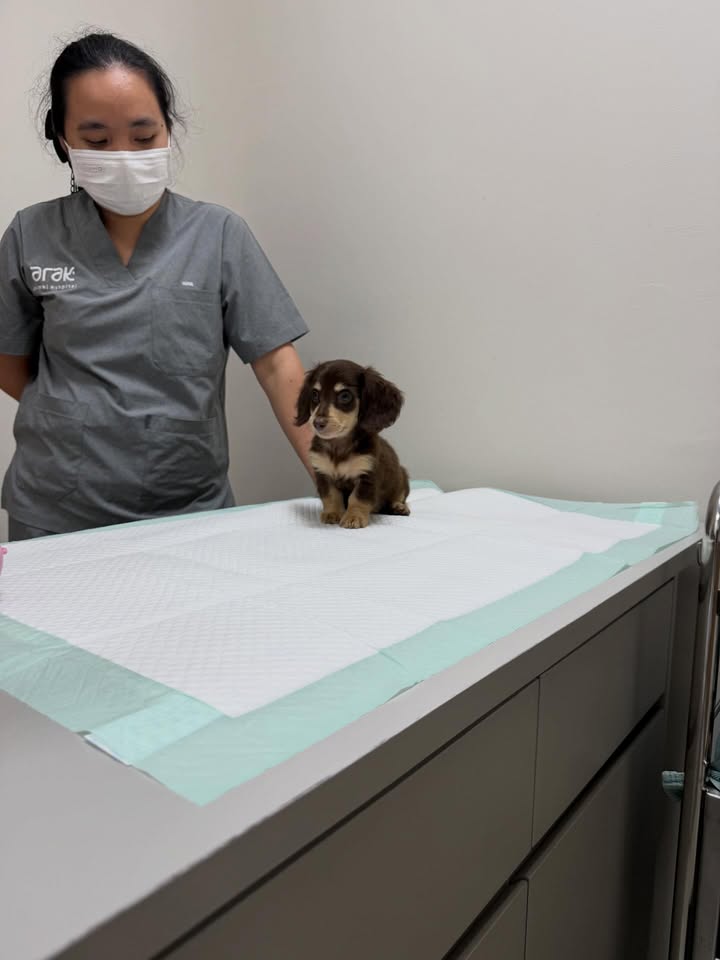 ญดา - นริลญา กุลมงคลเพชร