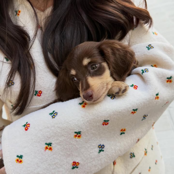 ญดา - นริลญา กุลมงคลเพชร