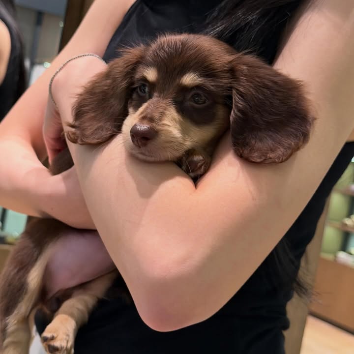 ญดา - นริลญา กุลมงคลเพชร