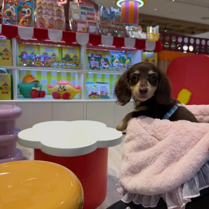 ญดา - นริลญา กุลมงคลเพชร