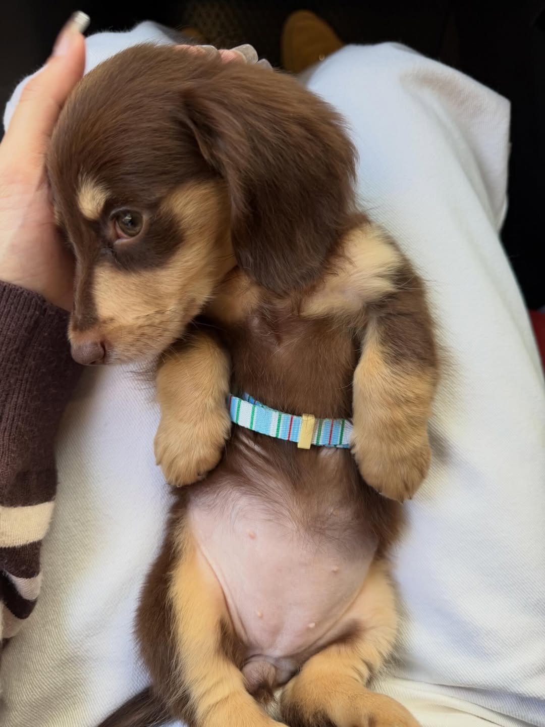 ญดา - นริลญา กุลมงคลเพชร