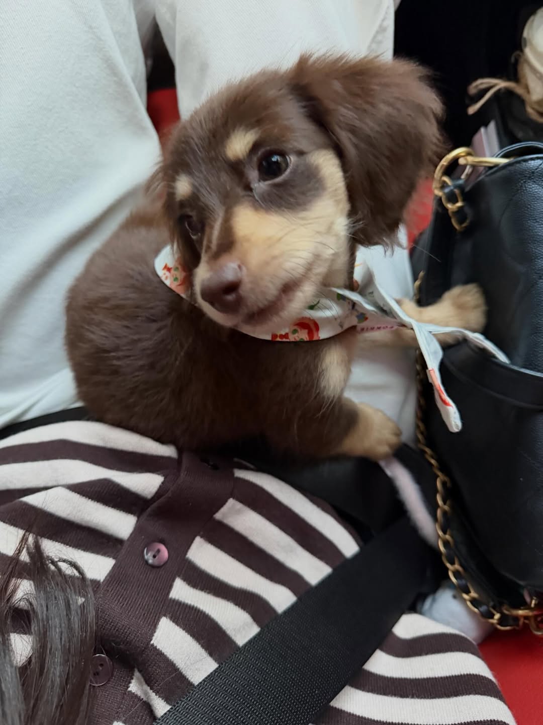 ญดา - นริลญา กุลมงคลเพชร