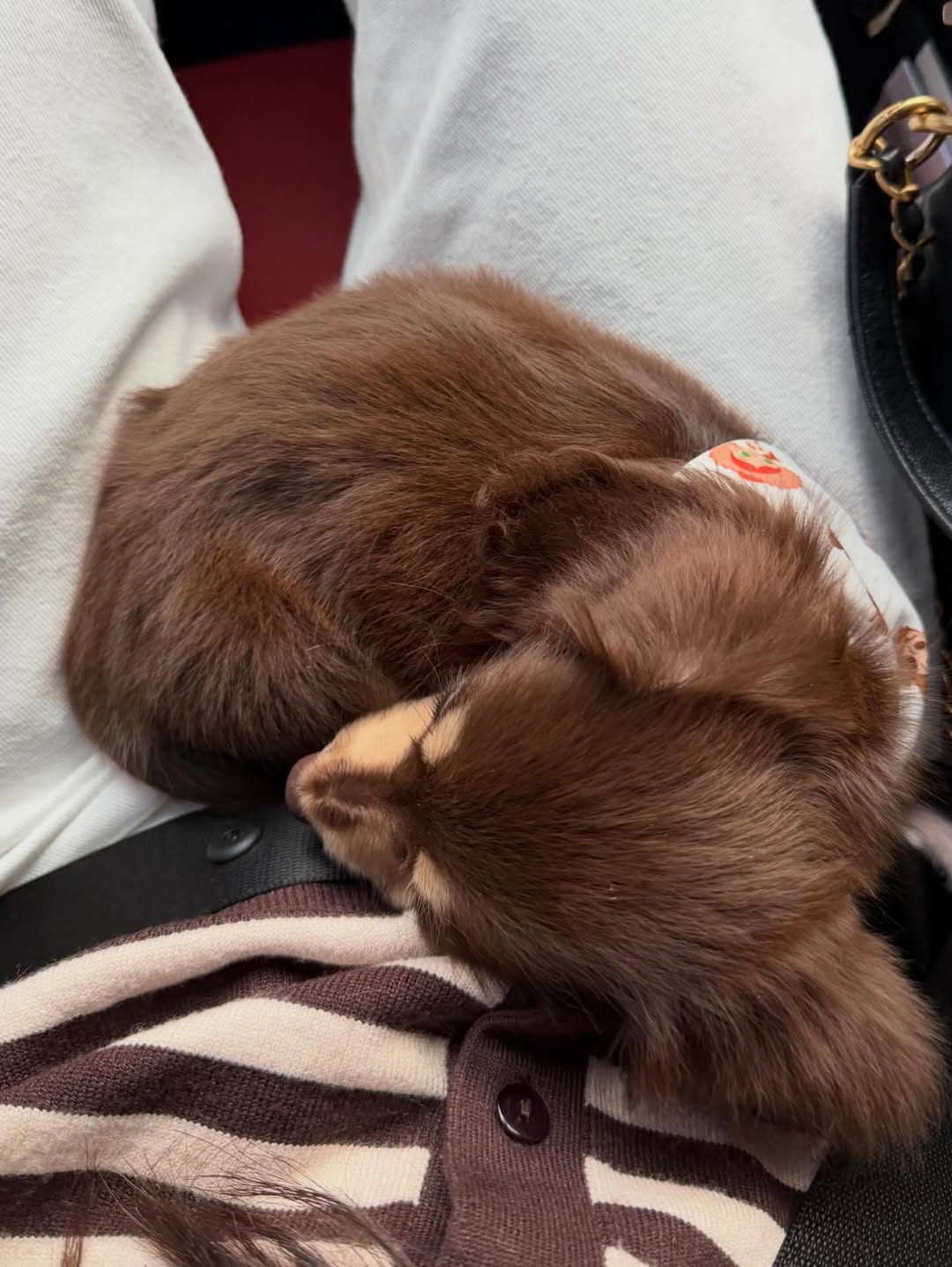 ญดา - นริลญา กุลมงคลเพชร