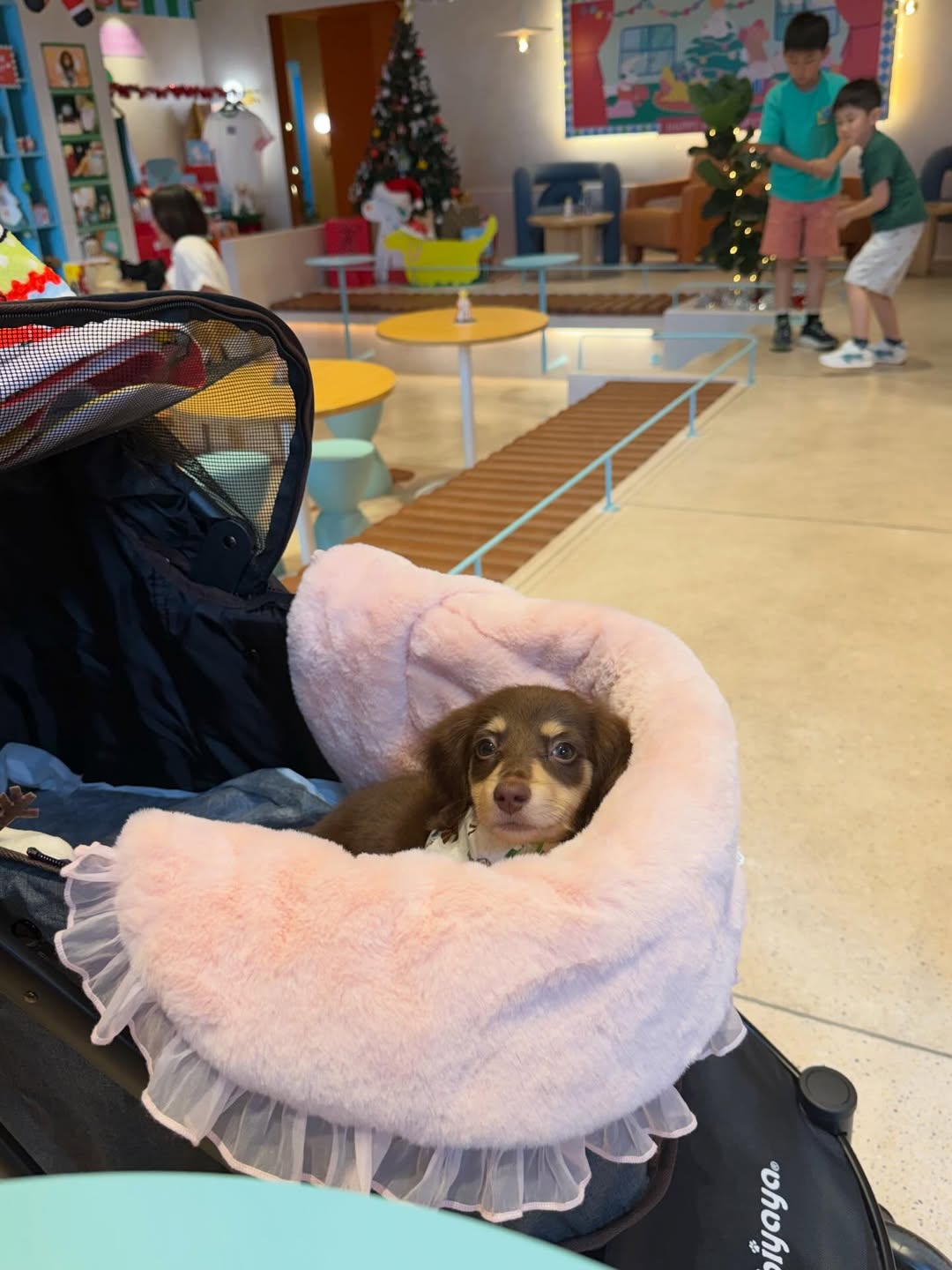 ญดา - นริลญา กุลมงคลเพชร