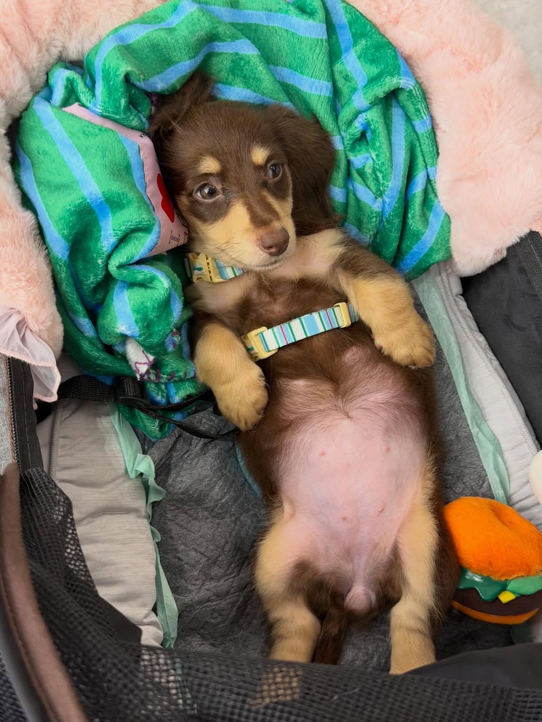 ญดา - นริลญา กุลมงคลเพชร