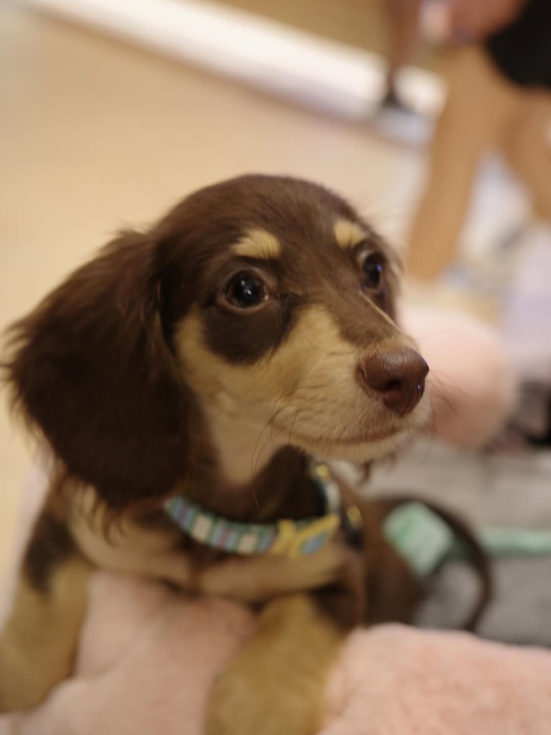 ญดา - นริลญา กุลมงคลเพชร