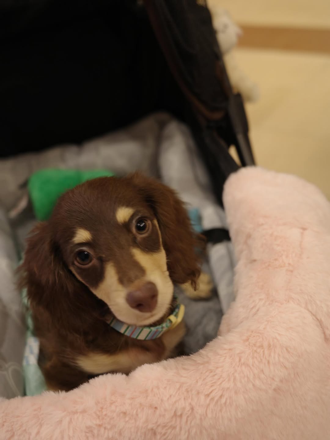 ญดา - นริลญา กุลมงคลเพชร