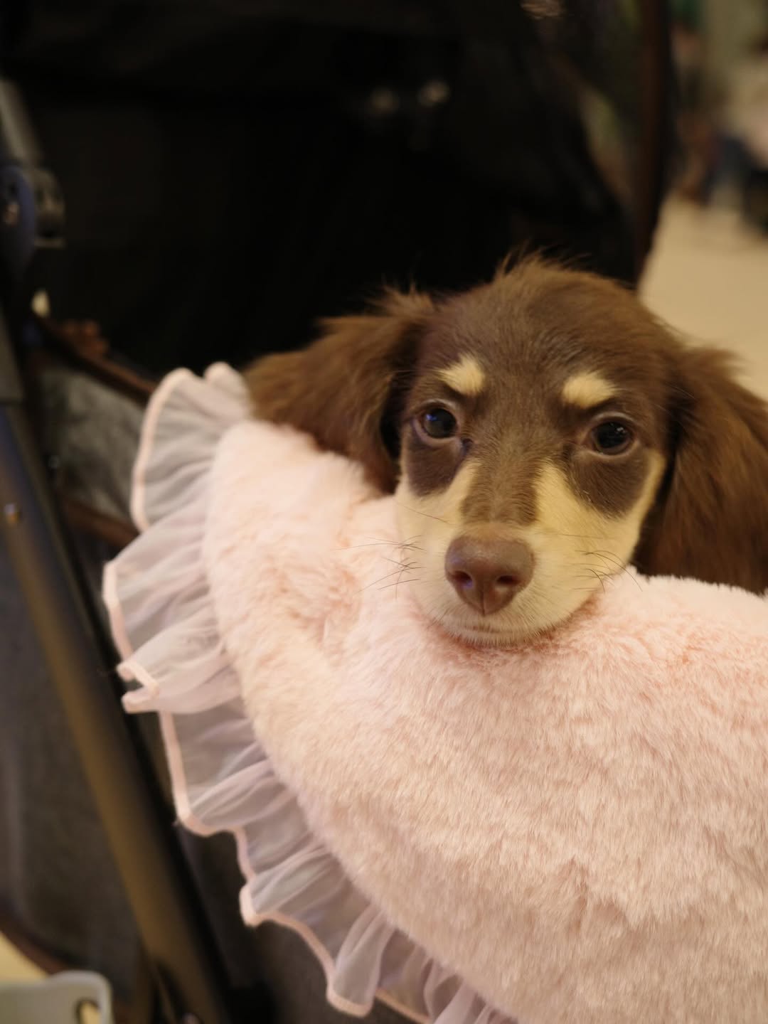 ญดา - นริลญา กุลมงคลเพชร