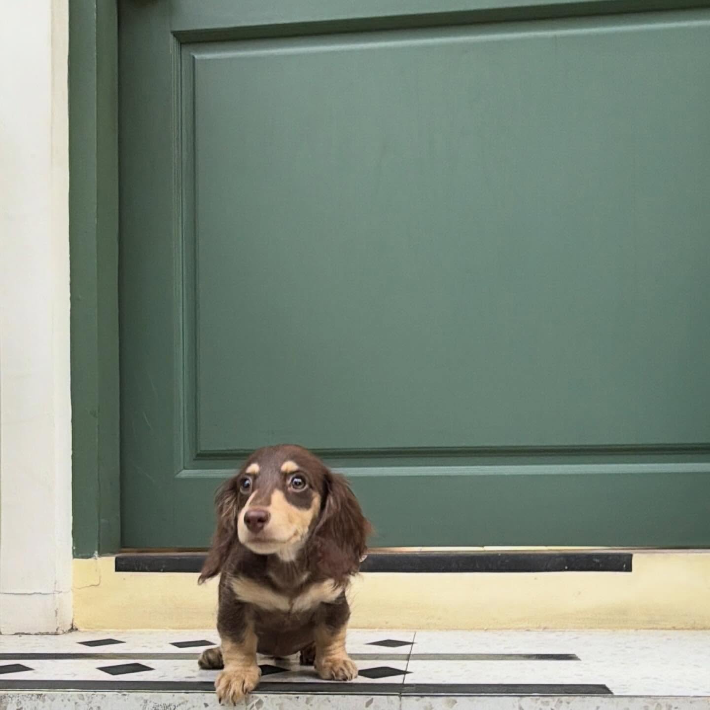ญดา - นริลญา กุลมงคลเพชร