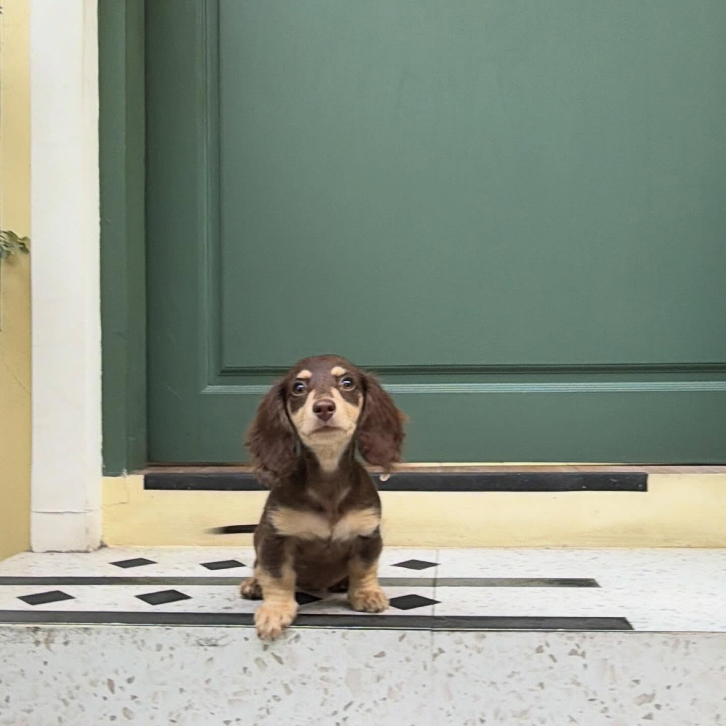 ญดา - นริลญา กุลมงคลเพชร