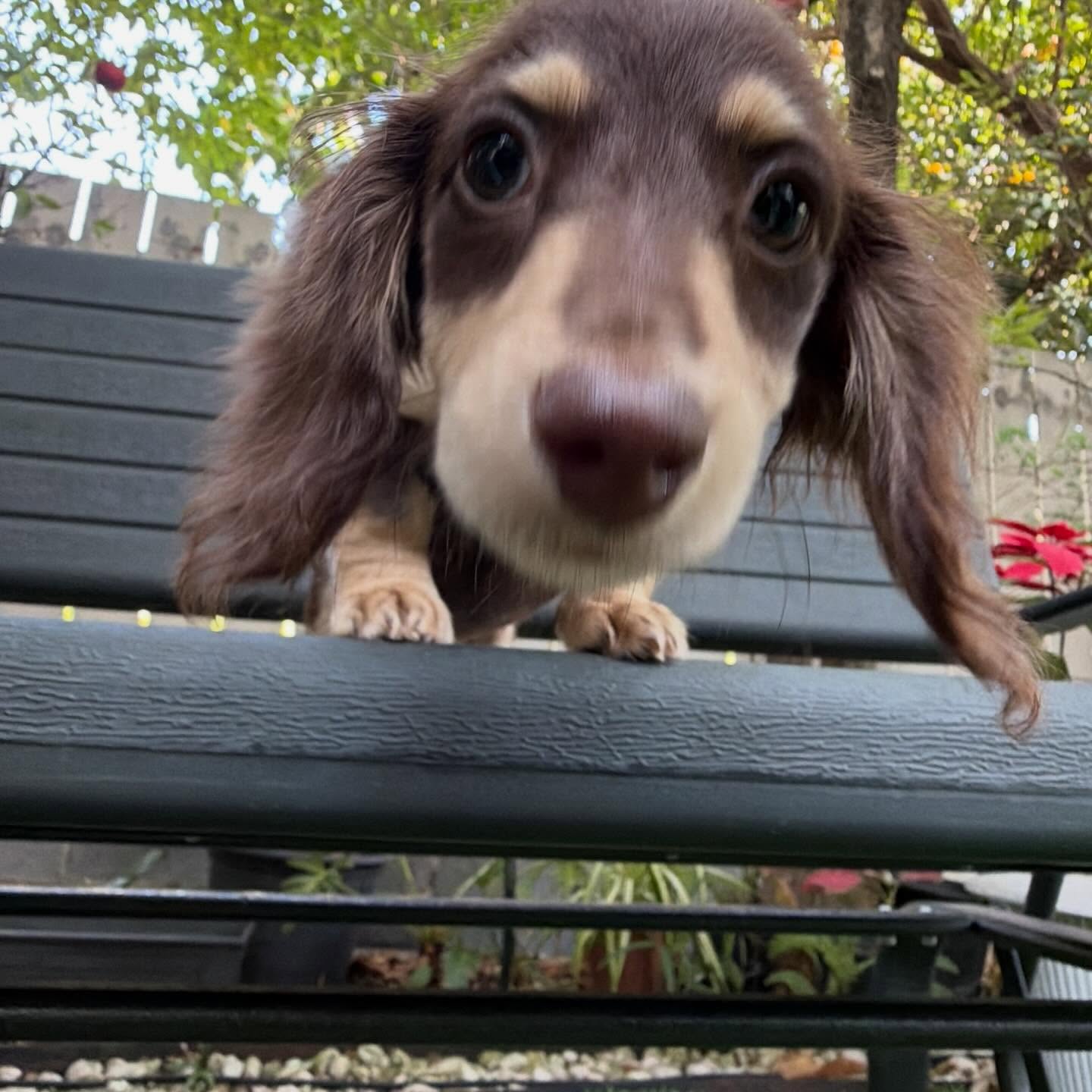 ญดา - นริลญา กุลมงคลเพชร