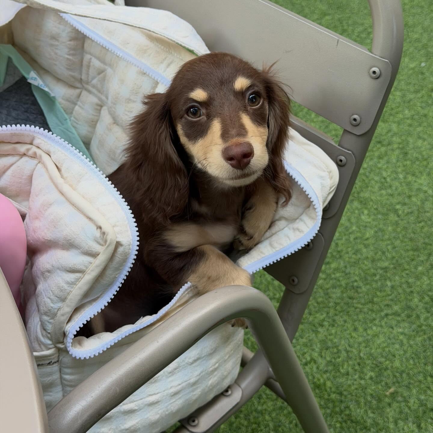 ญดา - นริลญา กุลมงคลเพชร