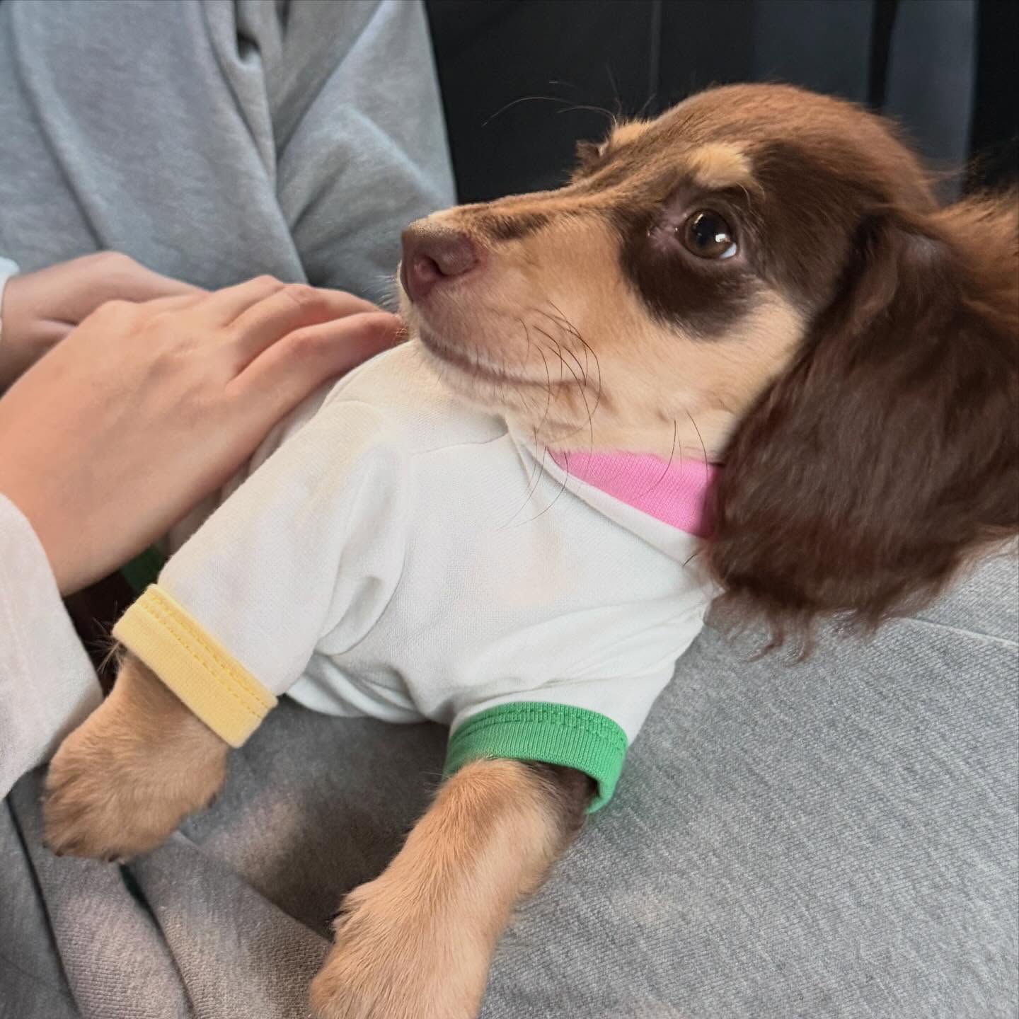 ญดา - นริลญา กุลมงคลเพชร