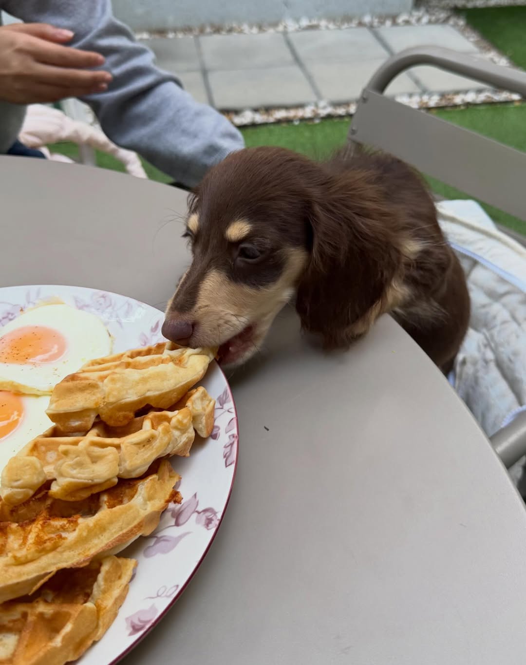 ญดา - นริลญา กุลมงคลเพชร