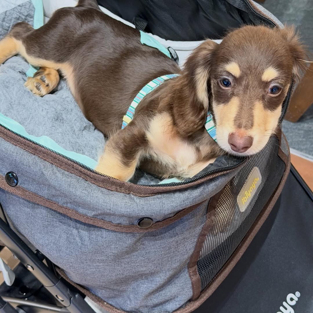 ญดา - นริลญา กุลมงคลเพชร