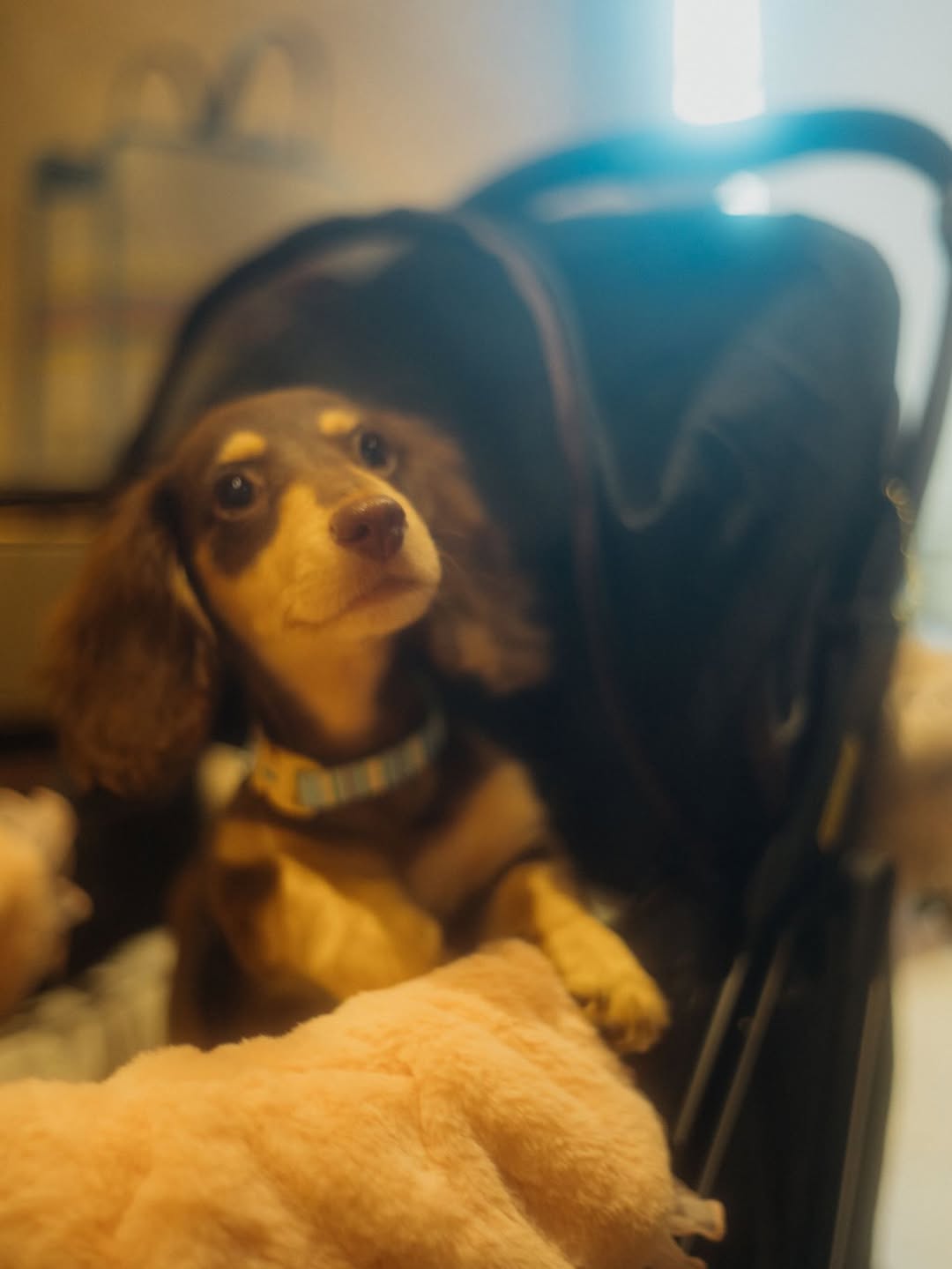 ญดา - นริลญา กุลมงคลเพชร