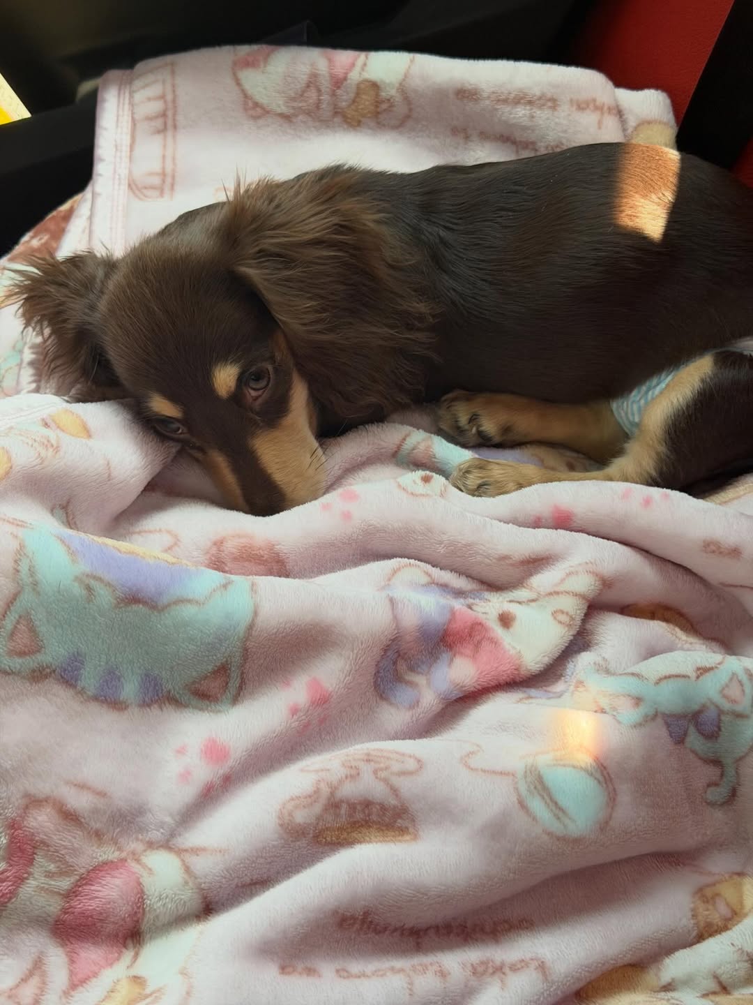 ญดา - นริลญา กุลมงคลเพชร