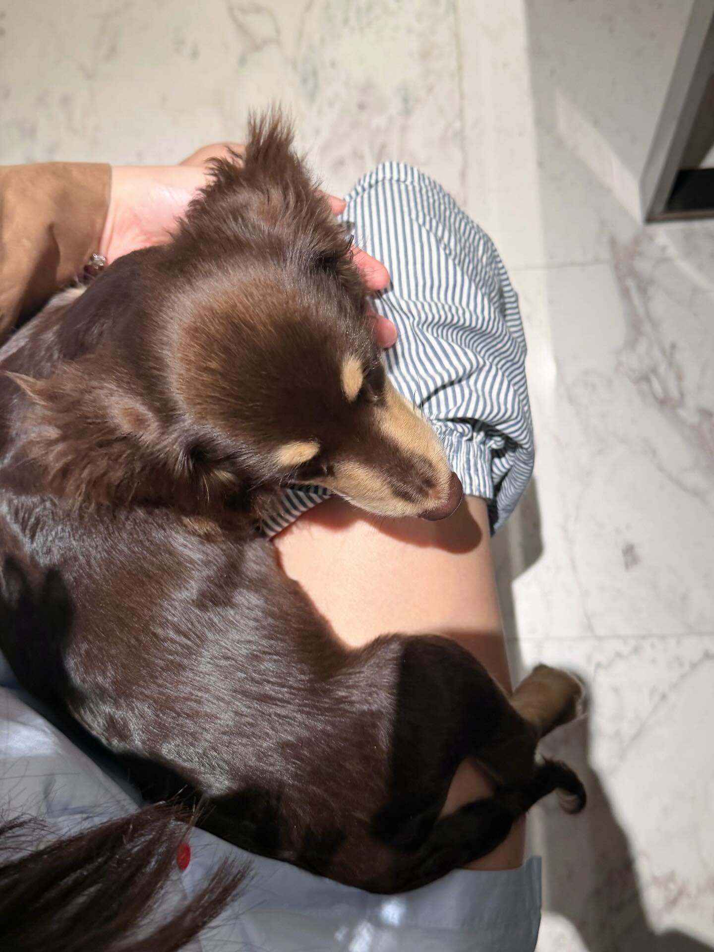 ญดา - นริลญา กุลมงคลเพชร