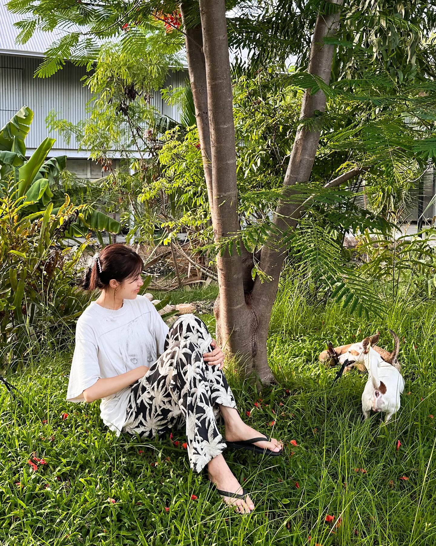 แก้ว - จริญญา ศิริมงคลสกุล