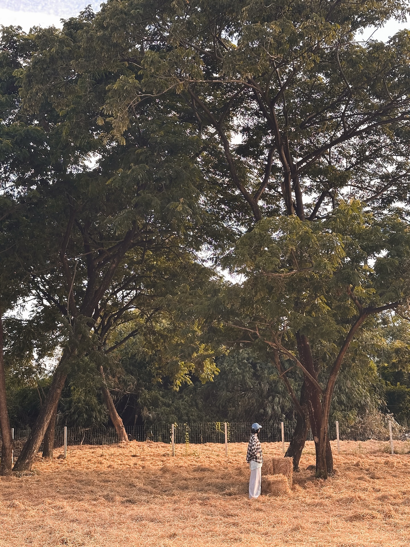 แก้ว - จริญญา ศิริมงคลสกุล