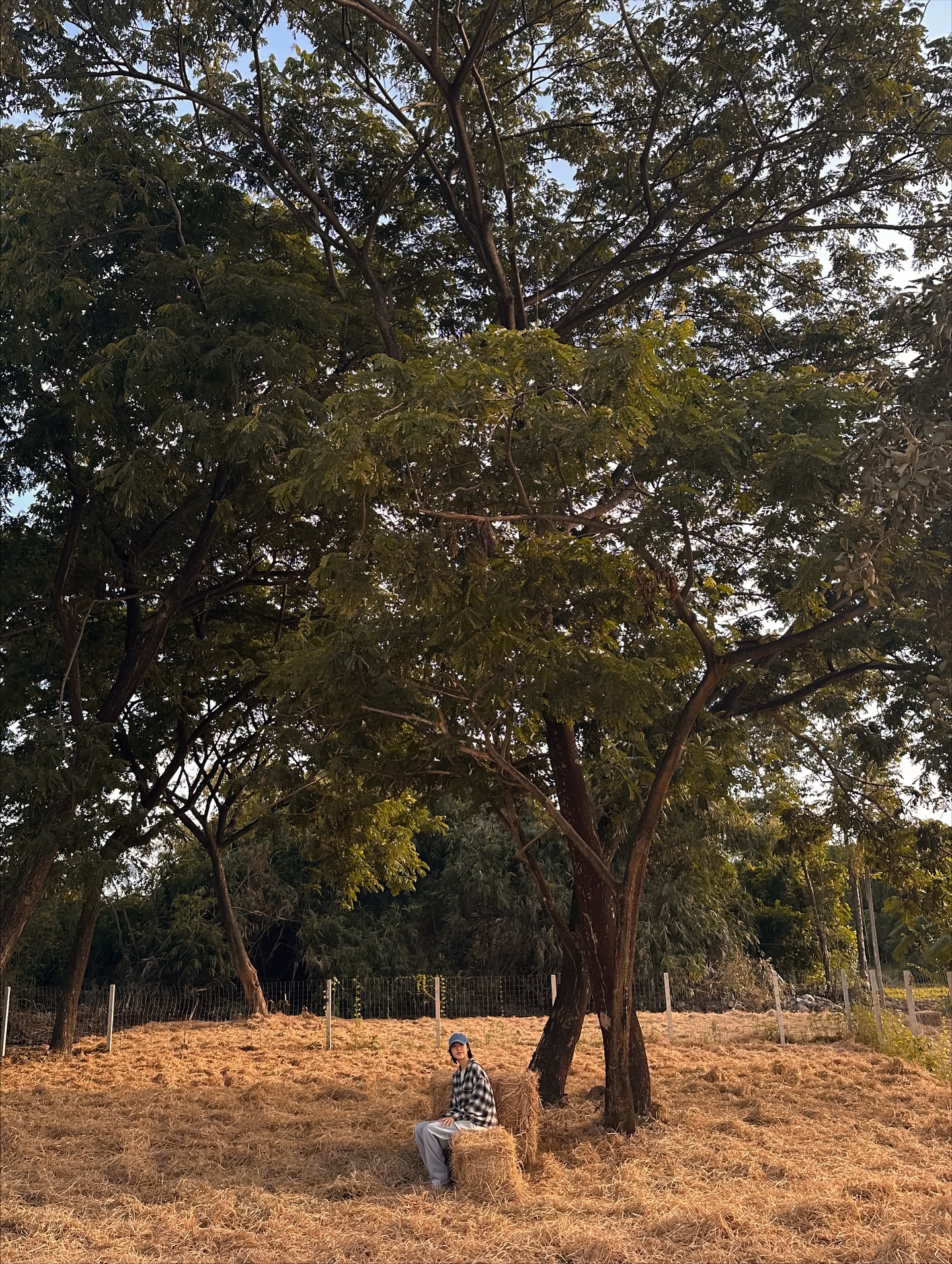แก้ว - จริญญา ศิริมงคลสกุล