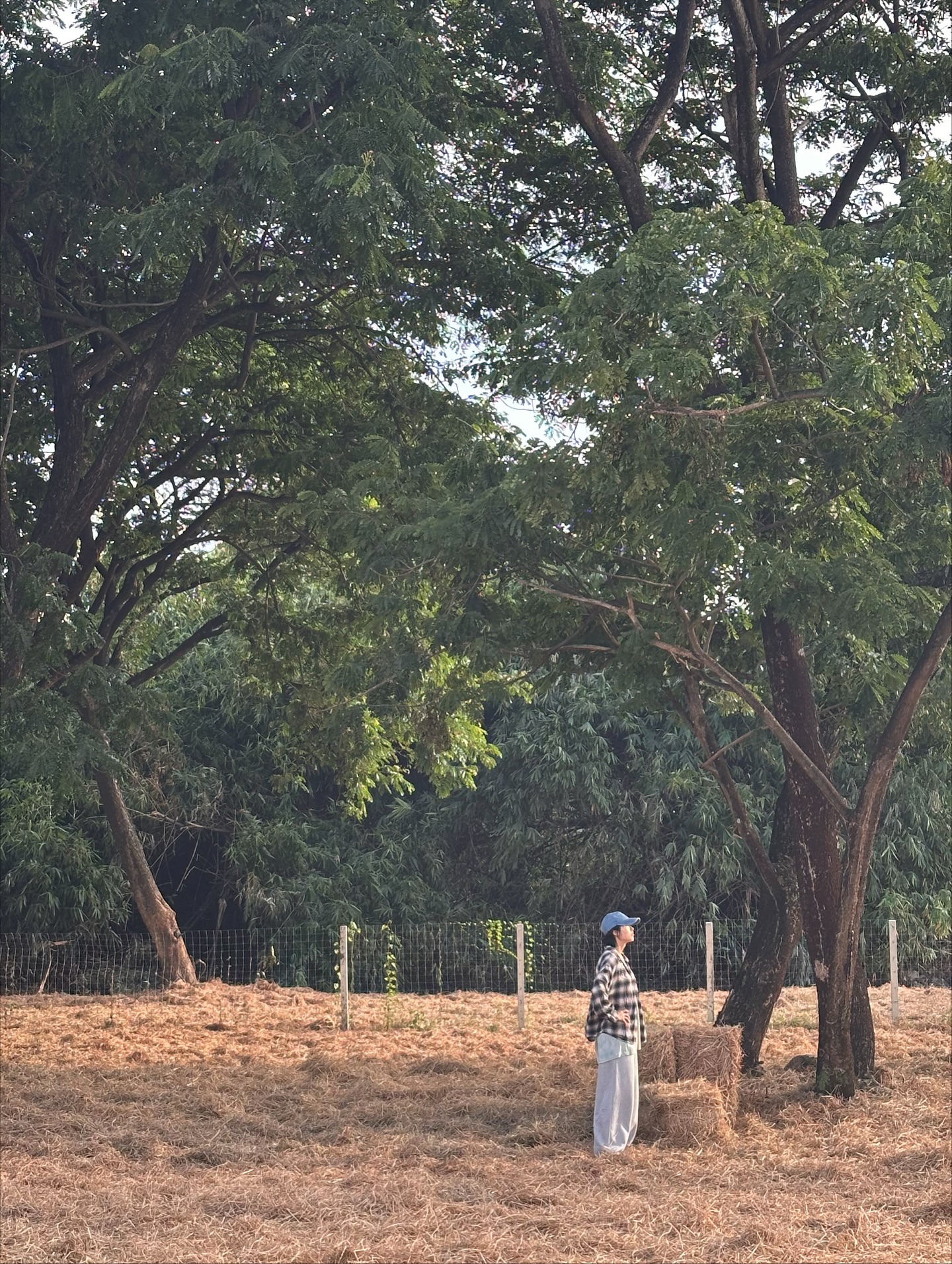 แก้ว - จริญญา ศิริมงคลสกุล