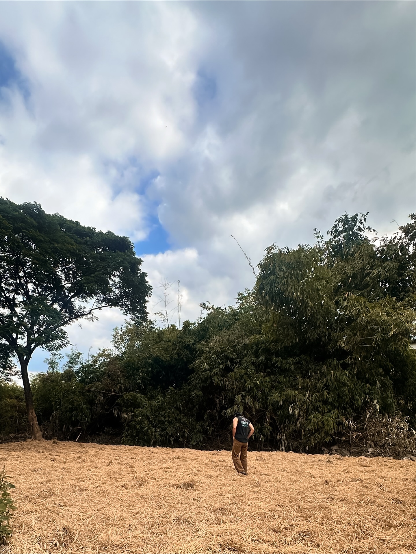 แก้ว - จริญญา ศิริมงคลสกุล