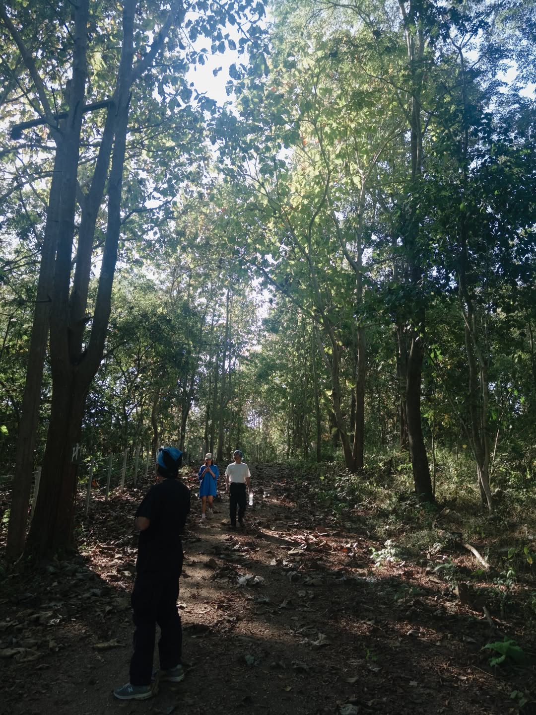 แก้ว - จริญญา ศิริมงคลสกุล