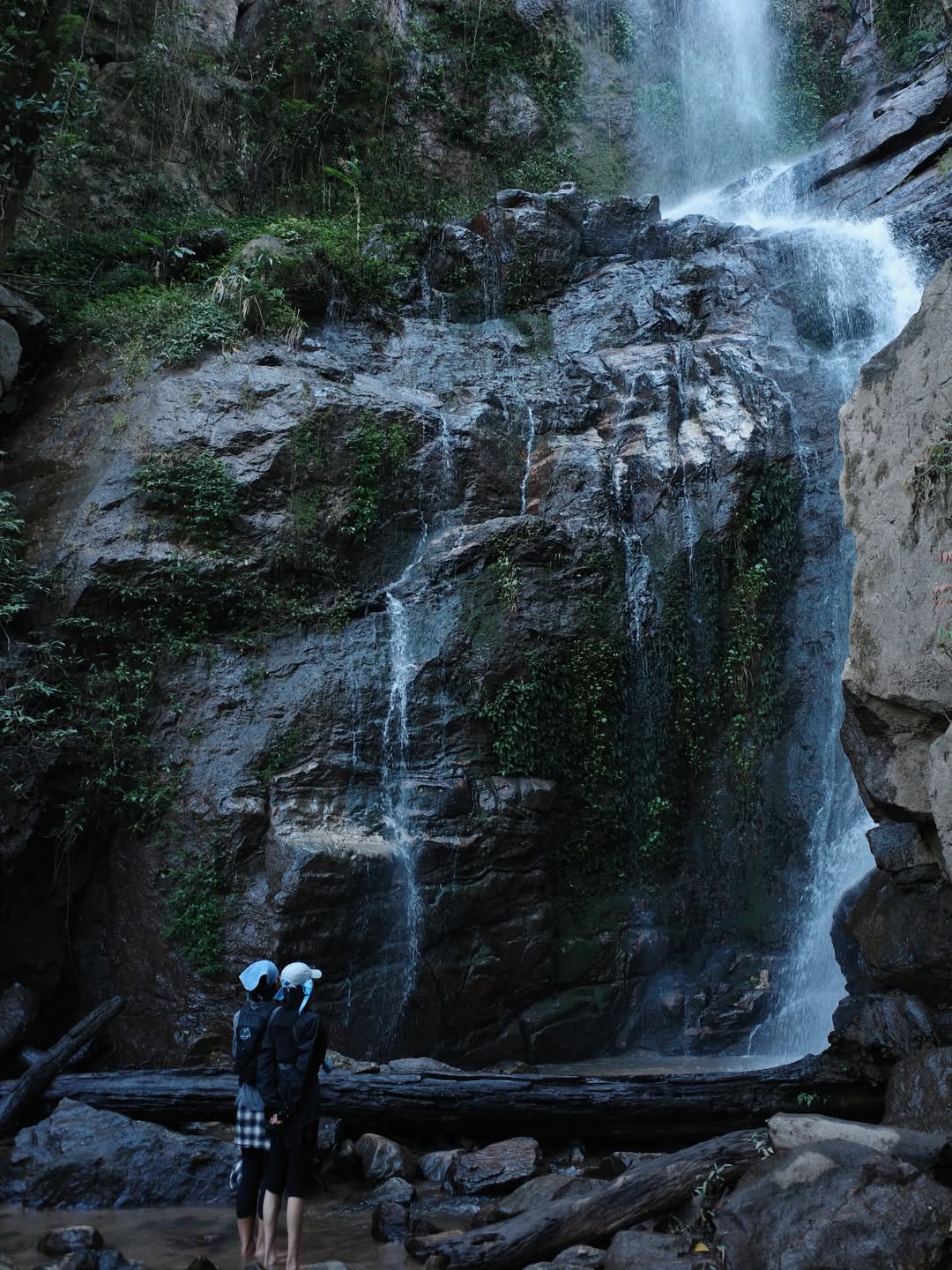 แก้ว - จริญญา ศิริมงคลสกุล