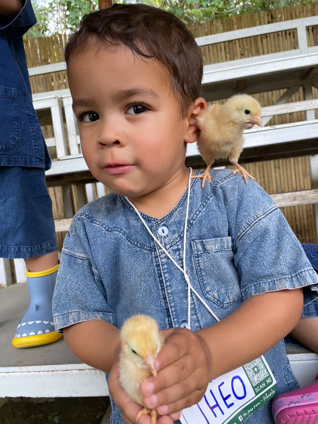 ไบรท์ - พิชญทัฬห์ จันทร์พุฒ