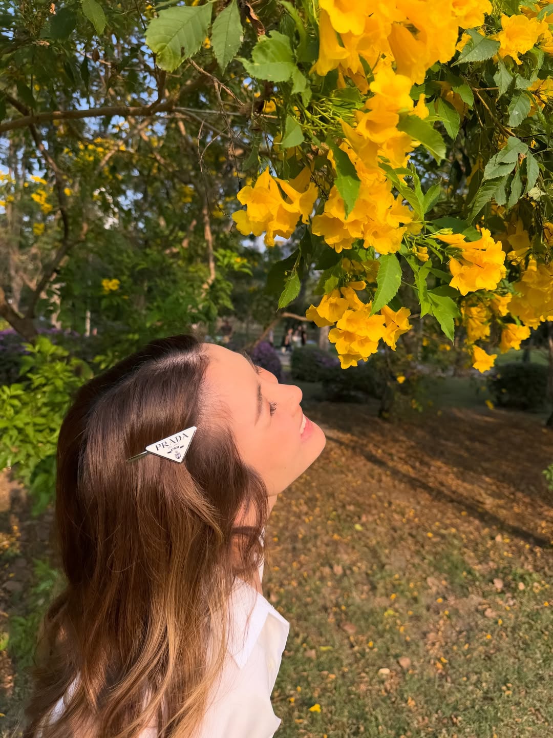 ไบรท์ - พิชญทัฬห์ จันทร์พุฒ