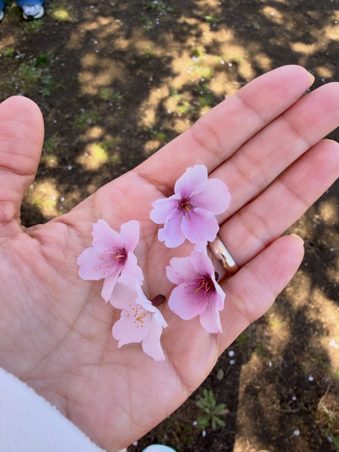 ไบรท์ - พิชญทัฬห์ จันทร์พุฒ