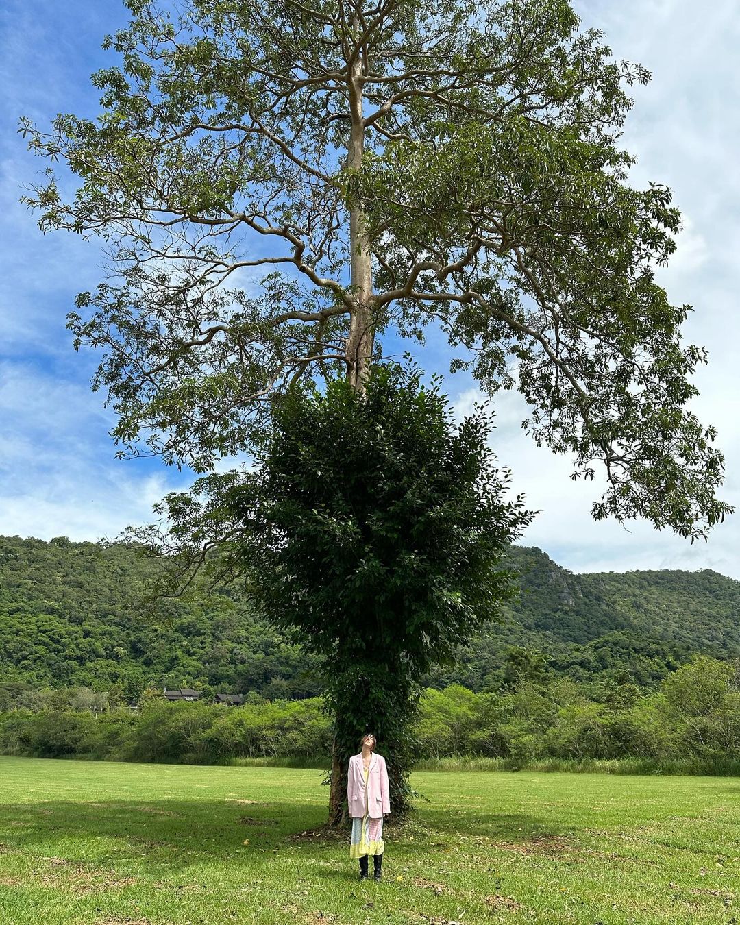 ยิปโซ - อริย์กันตา มหพฤกษ์พงศ์