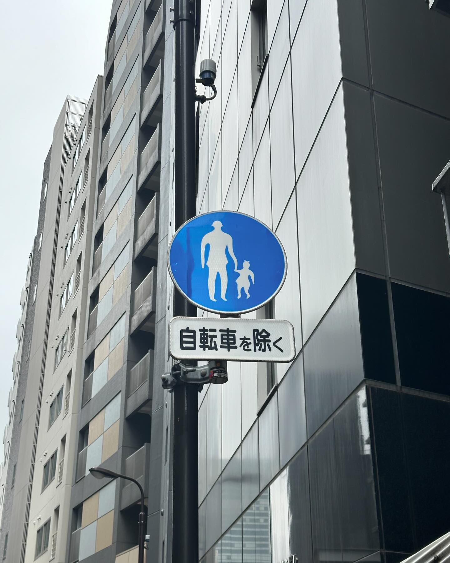 ยิปโซ - อริย์กันตา มหพฤกษ์พงศ์