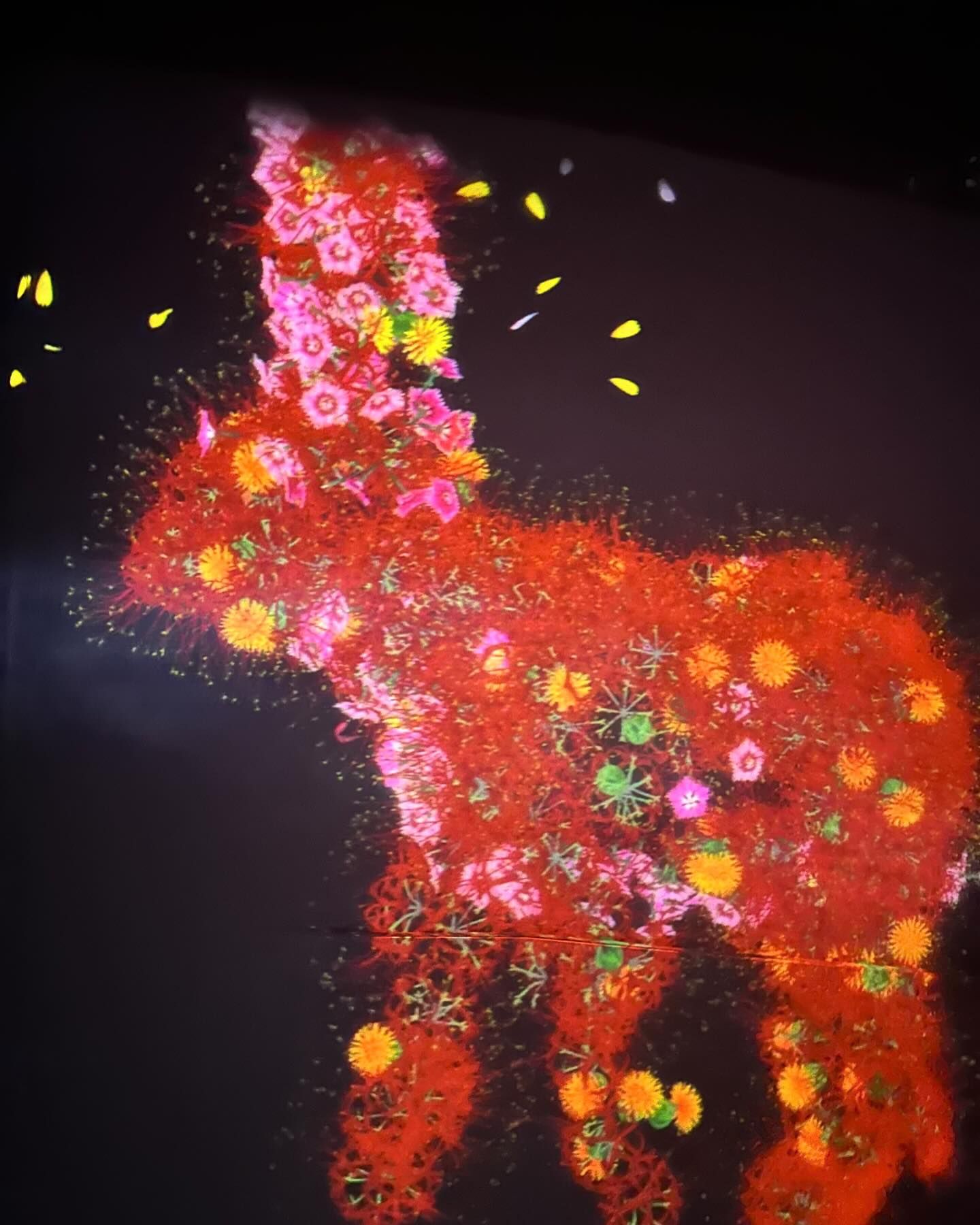 ยิปโซ - อริย์กันตา มหพฤกษ์พงศ์