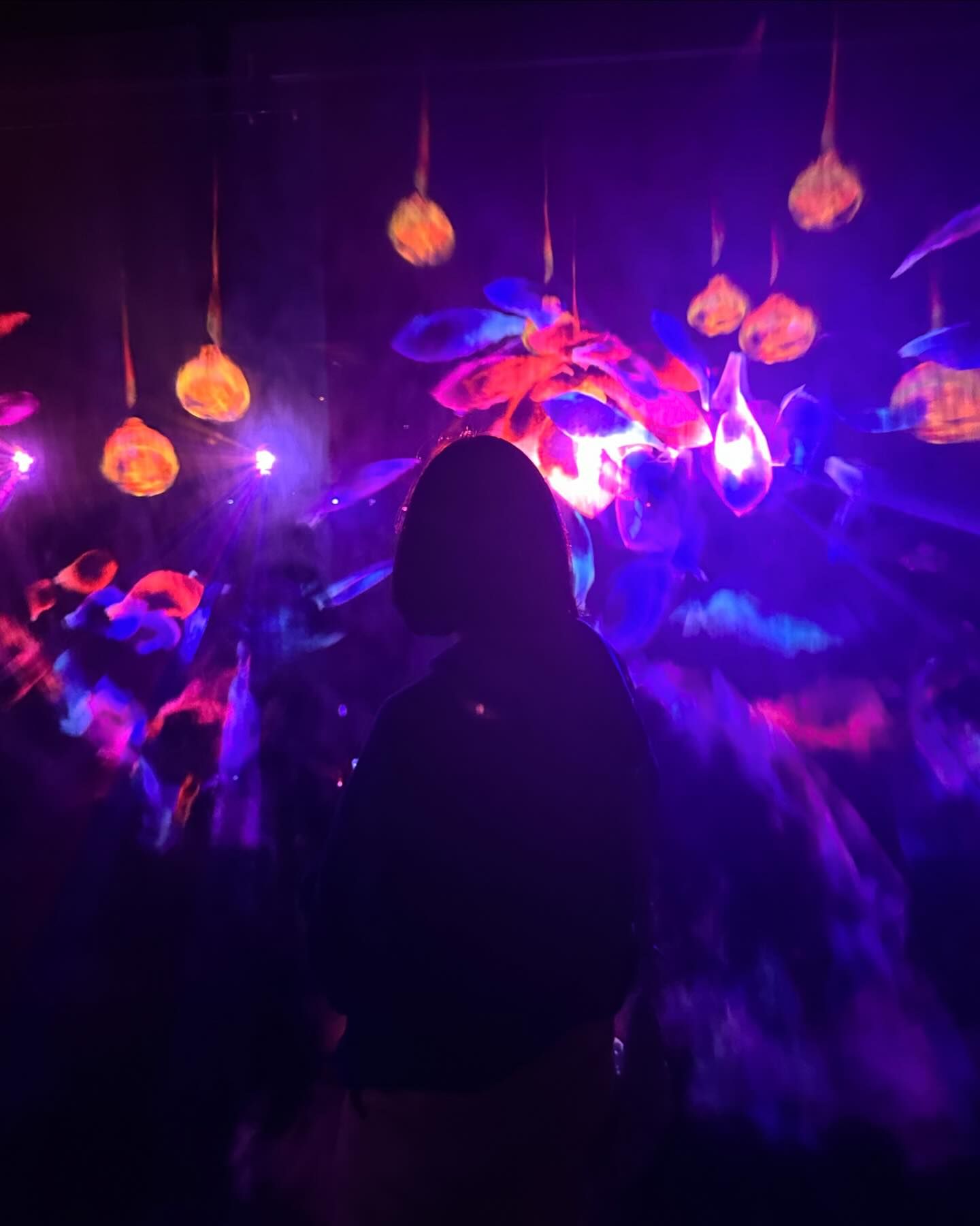 ยิปโซ - อริย์กันตา มหพฤกษ์พงศ์