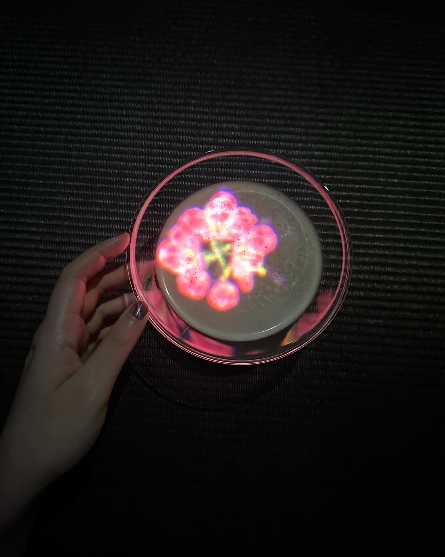 ยิปโซ - อริย์กันตา มหพฤกษ์พงศ์