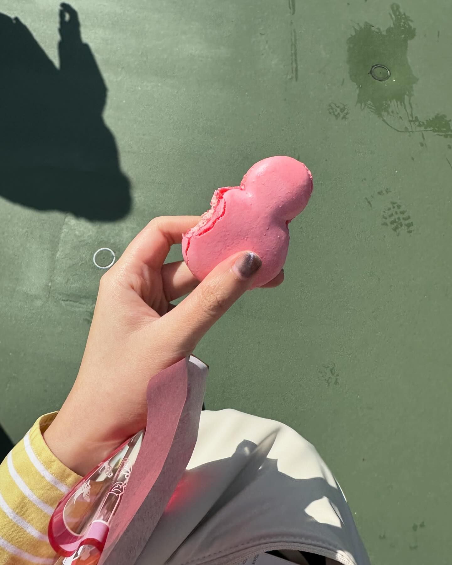 ยิปโซ - อริย์กันตา มหพฤกษ์พงศ์