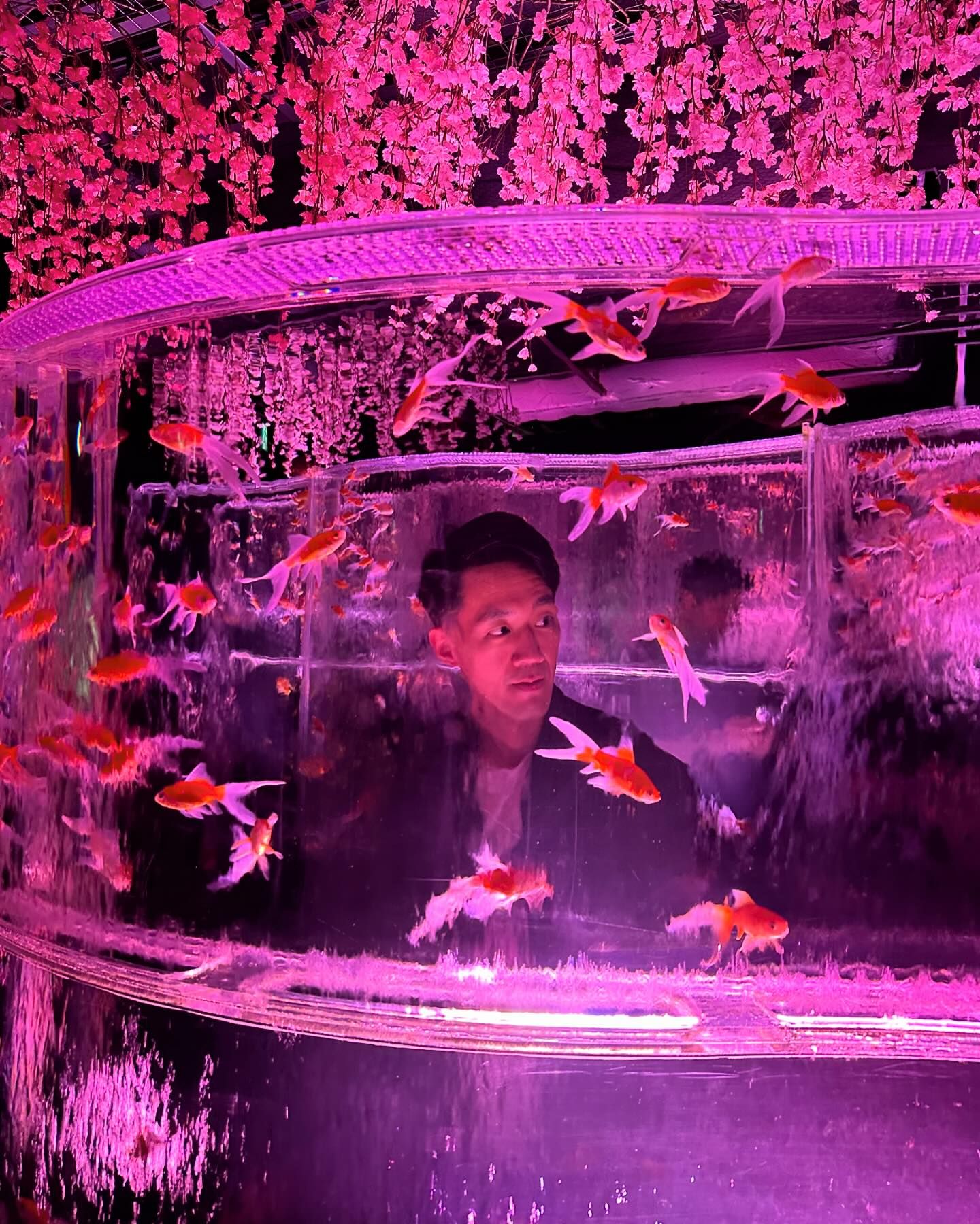 ยิปโซ - อริย์กันตา มหพฤกษ์พงศ์