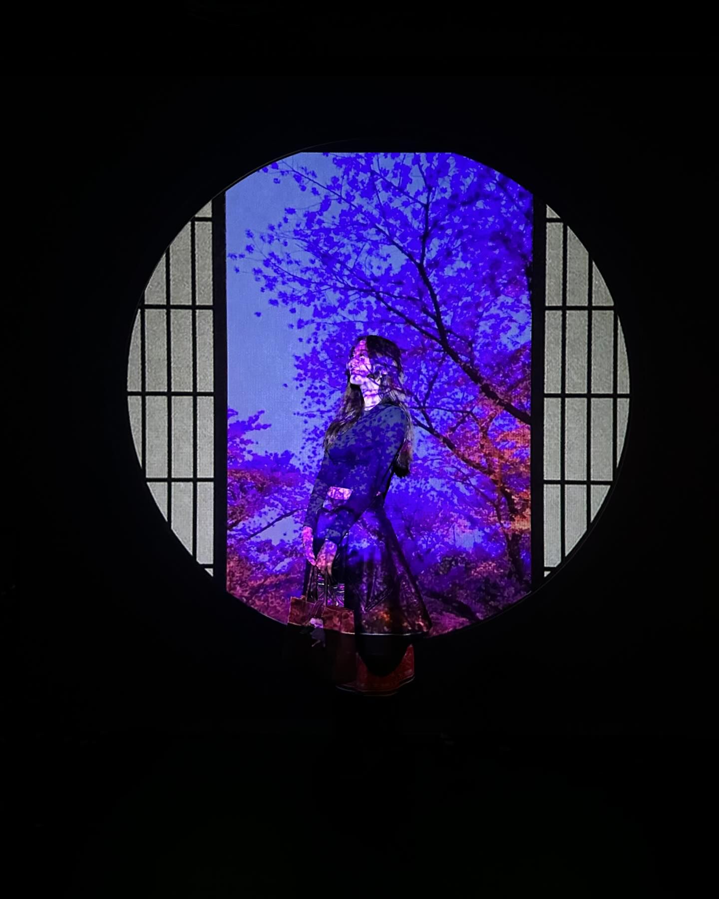 ยิปโซ - อริย์กันตา มหพฤกษ์พงศ์