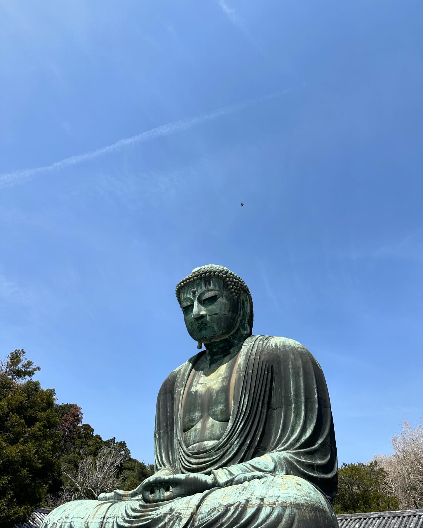 ยิปโซ - อริย์กันตา มหพฤกษ์พงศ์