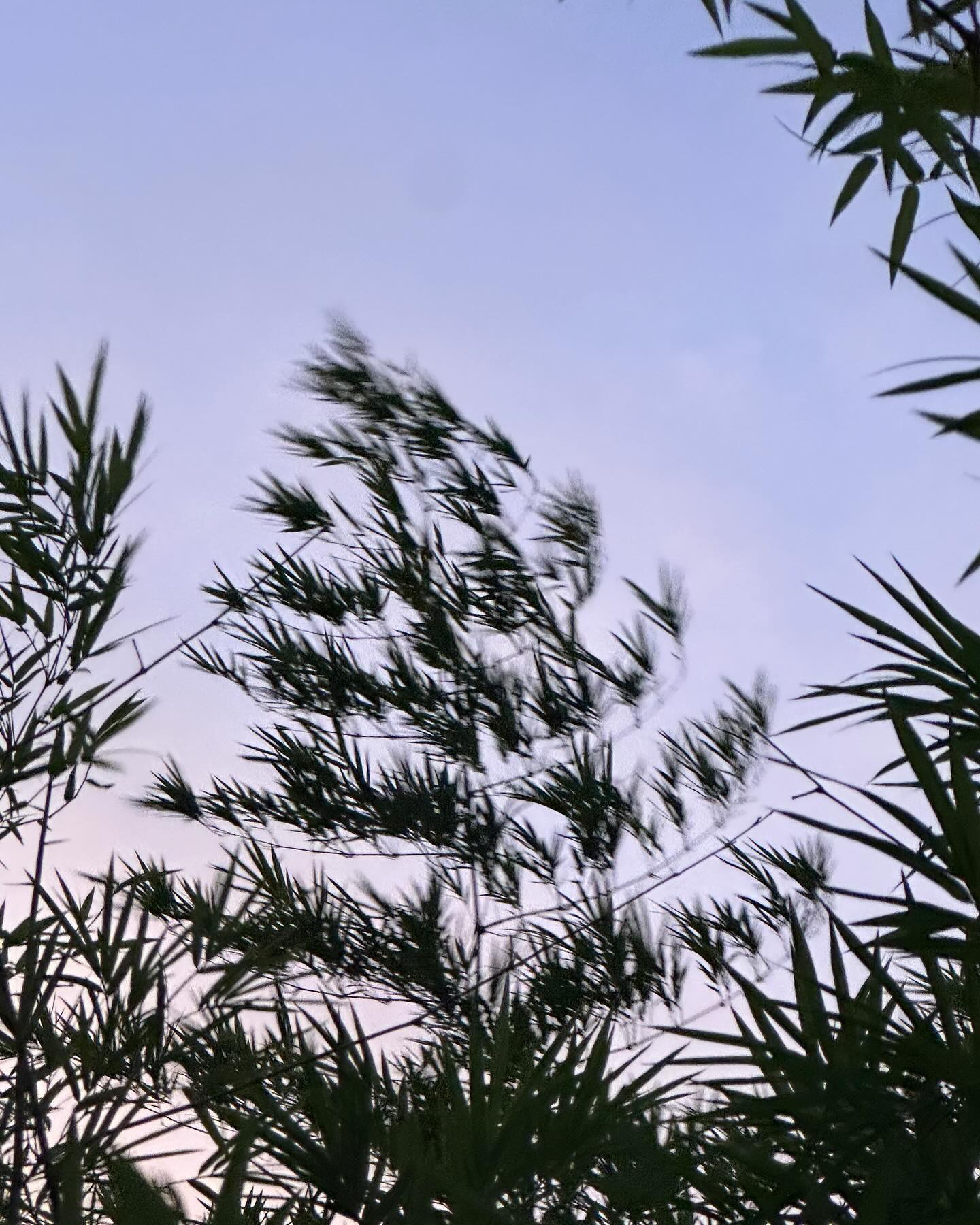 ยิปโซ - อริย์กันตา มหพฤกษ์พงศ์